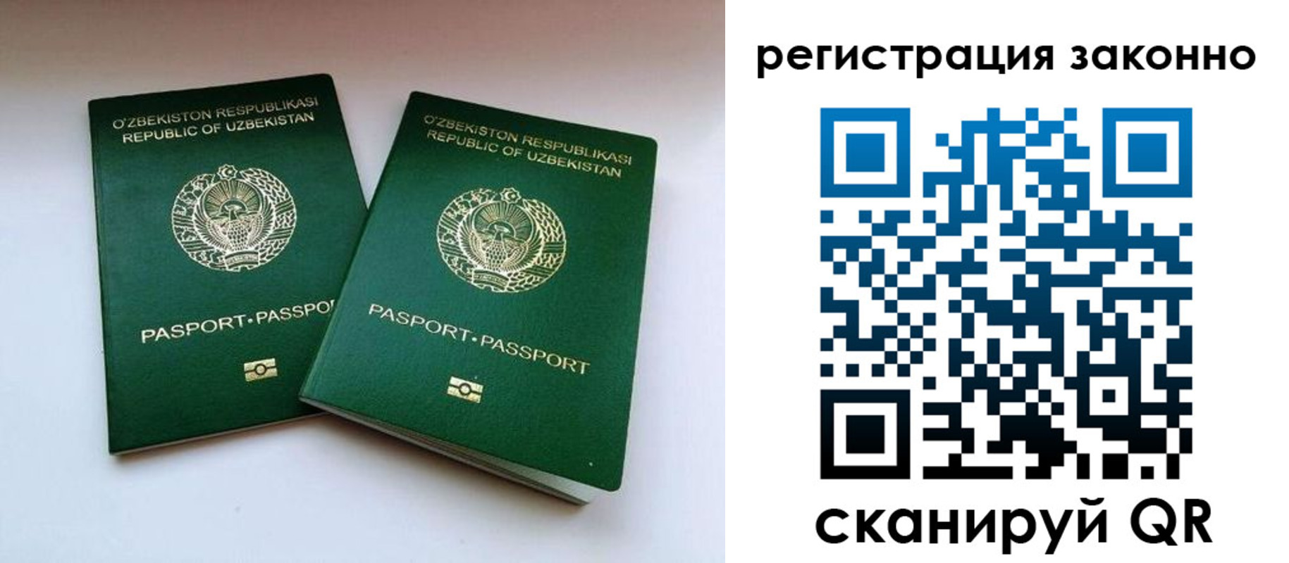 прописка гарантия в Советске